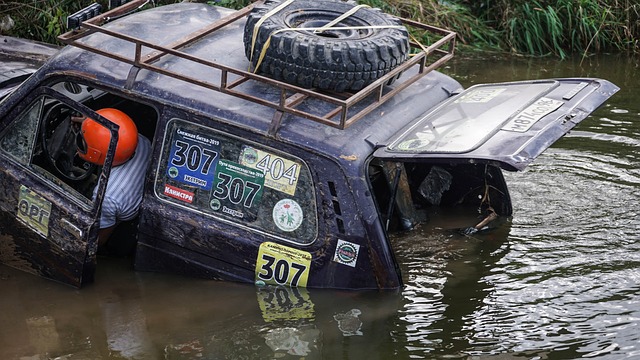 再次证明了 再次证明了