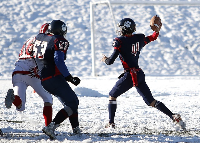 迷关注的焦 迷关注的焦