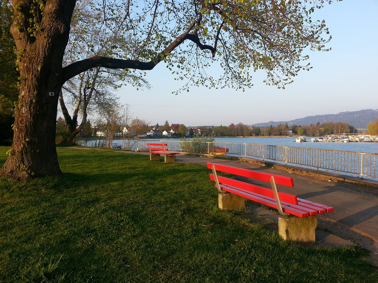 通过更有针 通过更有针