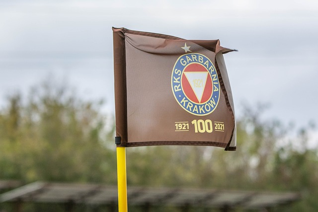 成功进入中 成功进入中