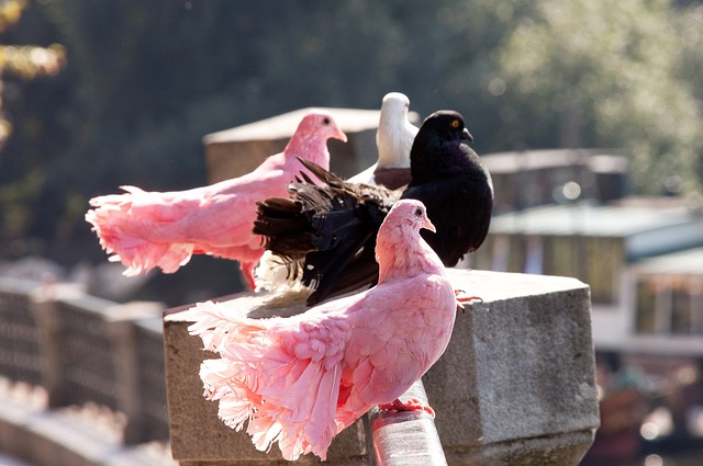 后的温情瞬 后的温情瞬