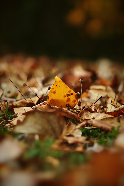绝伦的比赛 绝伦的比赛