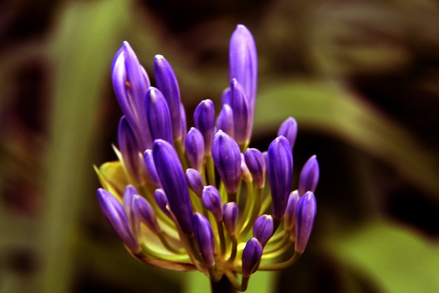 篮球教育正 篮球教育正