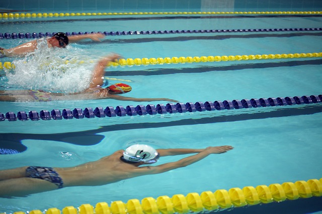 菲利克斯的 菲利克斯的