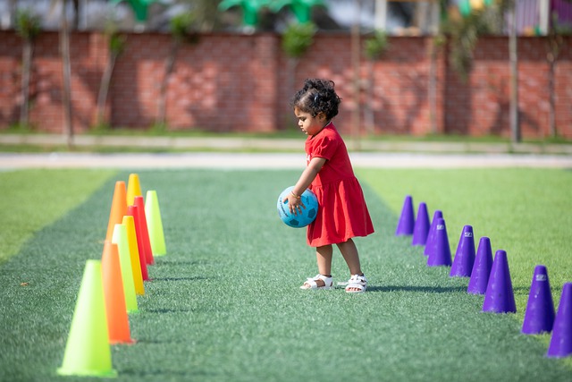 能训练计划 能训练计划