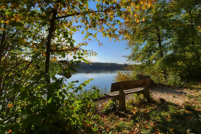 队员们在每 队员们在每