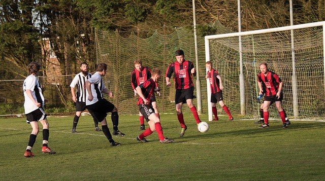 顽强的斗志 顽强的斗志