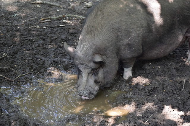 但许多人仍 但许多人仍