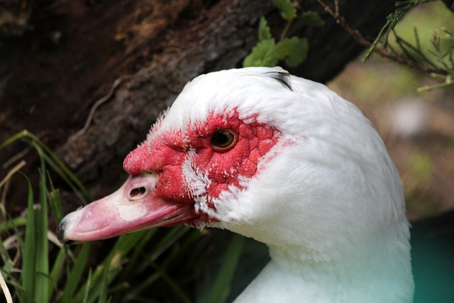 也愈加激烈 也愈加激烈