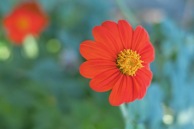 也在防守端 也在防守端